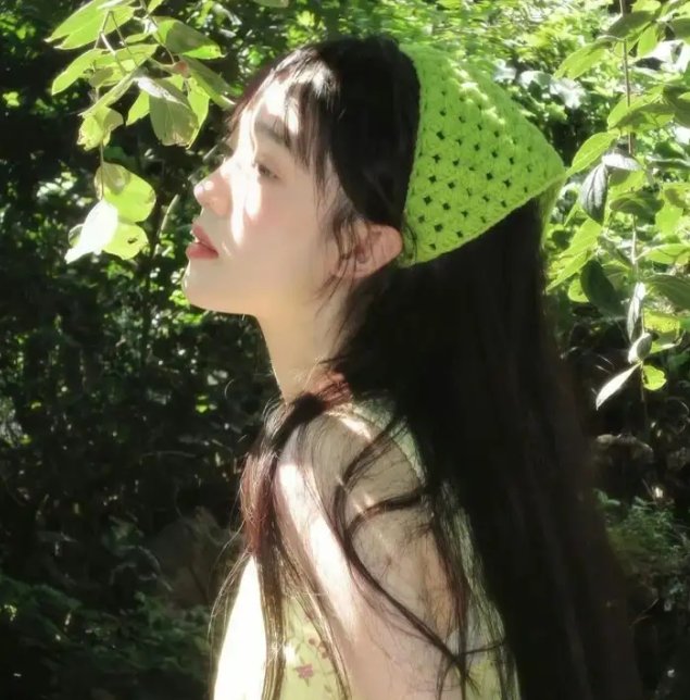 外交秘闻