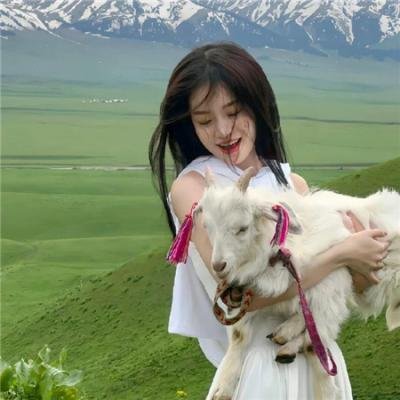哈莉·奎茵第二季