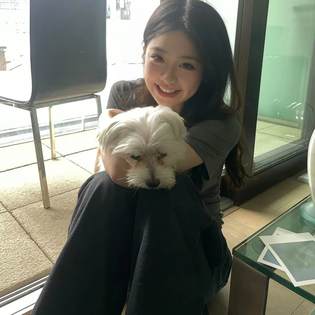 红楼春怨